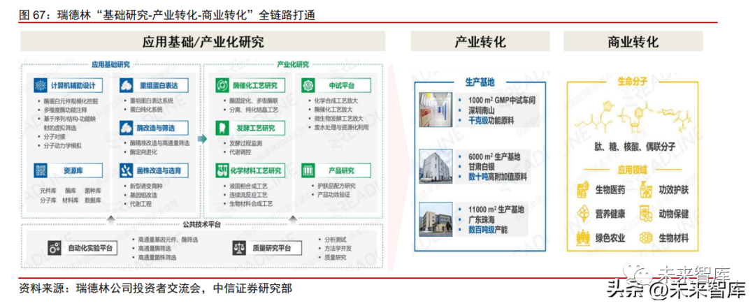 由“芯”崛起 國產化妝品原料崛起與中國美妝產業升級浪潮，煥新重構卷 (350E視界 )